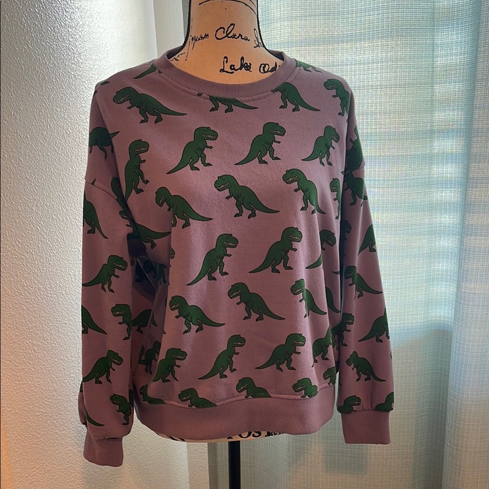 Forever 21 Green Dinosaur Print Sweater